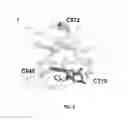 Fig. 08 - Substituted imidazo[1,5-a]pYRAZINES for modulation of IRE1