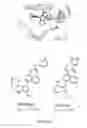 Fig. 10 - Substituted imidazo[1,5-a]pYRAZINES for modulation of IRE1