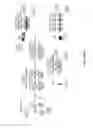 Fig. 18 - Substituted imidazo[1,5-a]pYRAZINES for modulation of IRE1