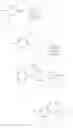 Fig. 10 - Polycyclic pyrazolinone derivative and herbicide comprising same as effective component thereof