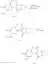 Fig. 24 - Polycyclic pyrazolinone derivative and herbicide comprising same as effective component thereof