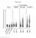 Fig. 09 - Chemical entities