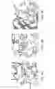 Fig. 05 - Pyrimido-diazepinone compounds and methods of treating disorders