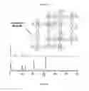 Fig. 07 - Azolium metal-organic frameworks