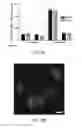 Fig. 04 - Bioreversible boronates for delivery of molecules into cells