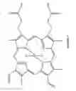 Fig. 06 - Methods for synthesizing metal mesoporphyrins
