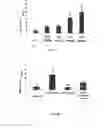 Fig. 04 - Adenosine receptor activation reagent and the uses of thereof