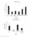 Fig. 08 - Adenosine receptor activation reagent and the uses of thereof