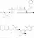 Fig. 141 - SUBSTITUTED NUCLEOSIDES, NUCLEOTIDES AND ANALOGS THEREOF