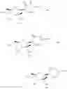 Fig. 161 - SUBSTITUTED NUCLEOSIDES, NUCLEOTIDES AND ANALOGS THEREOF