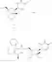 Fig. 164 - SUBSTITUTED NUCLEOSIDES, NUCLEOTIDES AND ANALOGS THEREOF