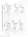 Fig. 18 - SUBSTITUTED NUCLEOSIDES, NUCLEOTIDES AND ANALOGS THEREOF