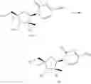 Fig. 195 - SUBSTITUTED NUCLEOSIDES, NUCLEOTIDES AND ANALOGS THEREOF