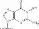 Fig. 242 - SUBSTITUTED NUCLEOSIDES, NUCLEOTIDES AND ANALOGS THEREOF