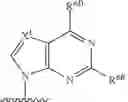 Fig. 244 - SUBSTITUTED NUCLEOSIDES, NUCLEOTIDES AND ANALOGS THEREOF