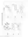 Fig. 33 - SUBSTITUTED NUCLEOSIDES, NUCLEOTIDES AND ANALOGS THEREOF