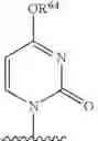 Fig. 72 - SUBSTITUTED NUCLEOSIDES, NUCLEOTIDES AND ANALOGS THEREOF