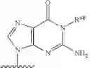 Fig. 75 - SUBSTITUTED NUCLEOSIDES, NUCLEOTIDES AND ANALOGS THEREOF