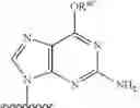 Fig. 77 - SUBSTITUTED NUCLEOSIDES, NUCLEOTIDES AND ANALOGS THEREOF