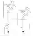 Fig. 03 - Ribonucleic acid purification