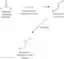 Fig. 24 - Ribonucleic acid purification