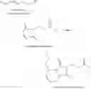 Fig. 27 - Ribonucleic acid purification