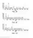 Fig. 05 - BIOACTIVE MOLECULES PRODUCED BY PROBIOTIC BACTERIA AND METHODS FOR ISOLATING AND USING THE SAME