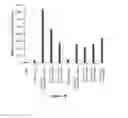 Fig. 26 - Stapled and stitched polypeptides and uses thereof