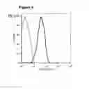 Fig. 10 - Polypeptides for treating and/or limiting influenza infection