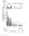 Fig. 06 - Antiviral vaccines with improved cellular immunogenicity