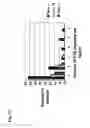 Fig. 14 - Antiviral vaccines with improved cellular immunogenicity