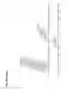 Fig. 23 - Antiviral vaccines with improved cellular immunogenicity