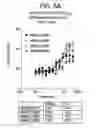 Fig. 07 - Inhibitory polypeptides specific to WNT inhibitors