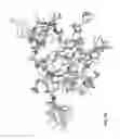 Fig. 50 - Potent and selective inhibitors of Nav1.7