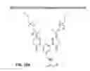 Fig. 82 - Potent and selective inhibitors of Nav1.7