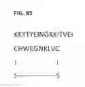 Fig. 96 - Potent and selective inhibitors of Nav1.7