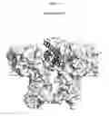 Fig. 05 - Modified animal erythropoietin polypeptides and their uses