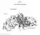 Fig. 07 - Modified animal erythropoietin polypeptides and their uses