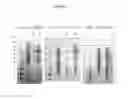 Fig. 33 - Modified animal erythropoietin polypeptides and their uses