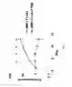 Fig. 03 - CHEMOTHERAPY-RESISTANT IMMUNE CELLS