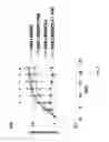Fig. 07 - CHEMOTHERAPY-RESISTANT IMMUNE CELLS