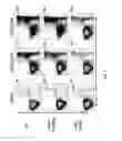 Fig. 08 - CHEMOTHERAPY-RESISTANT IMMUNE CELLS