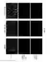 Fig. 09 - CHEMOTHERAPY-RESISTANT IMMUNE CELLS