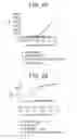 Fig. 07 - OX40L fusion proteins and uses thereof