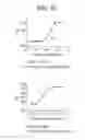 Fig. 08 - OX40L fusion proteins and uses thereof