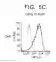 Fig. 14 - OX40L fusion proteins and uses thereof
