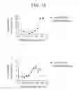 Fig. 23 - OX40L fusion proteins and uses thereof