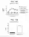 Fig. 24 - OX40L fusion proteins and uses thereof