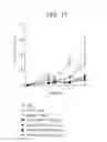 Fig. 28 - OX40L fusion proteins and uses thereof