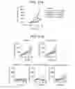 Fig. 32 - OX40L fusion proteins and uses thereof